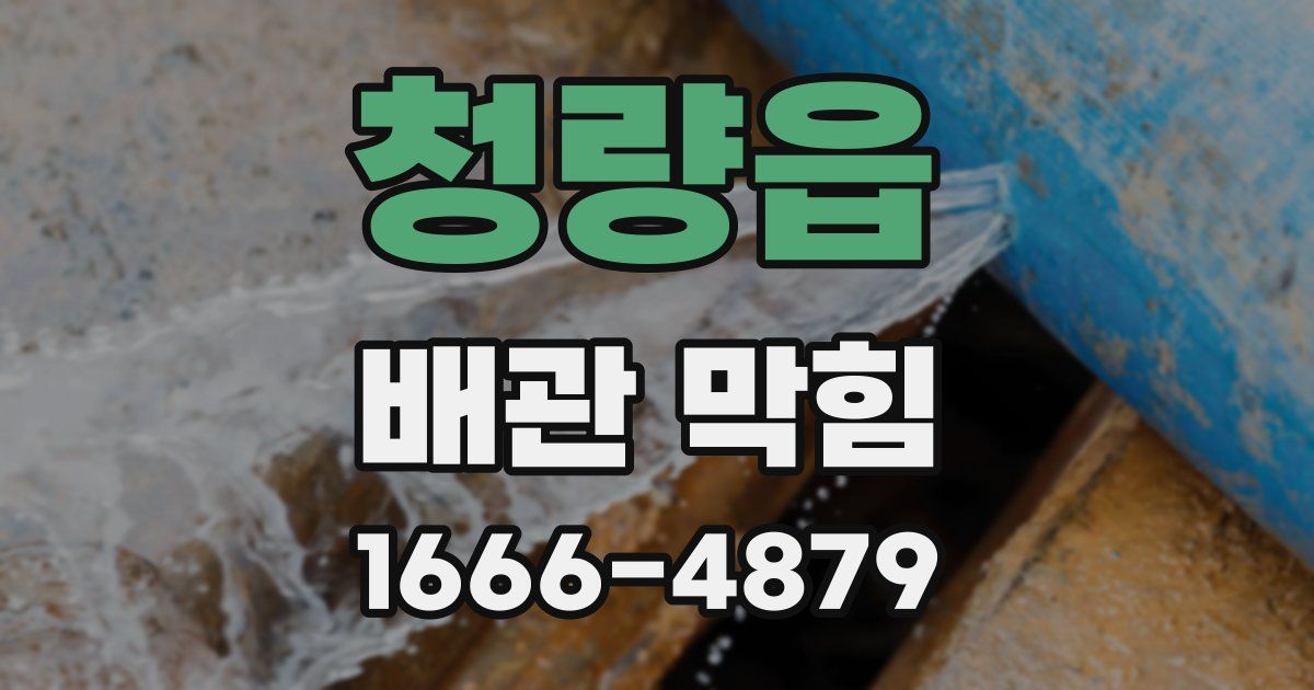 청량읍 배관 막힘