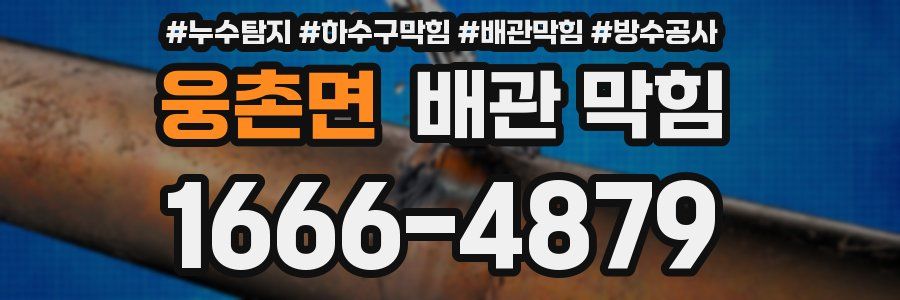 웅촌면 배관 막힘
