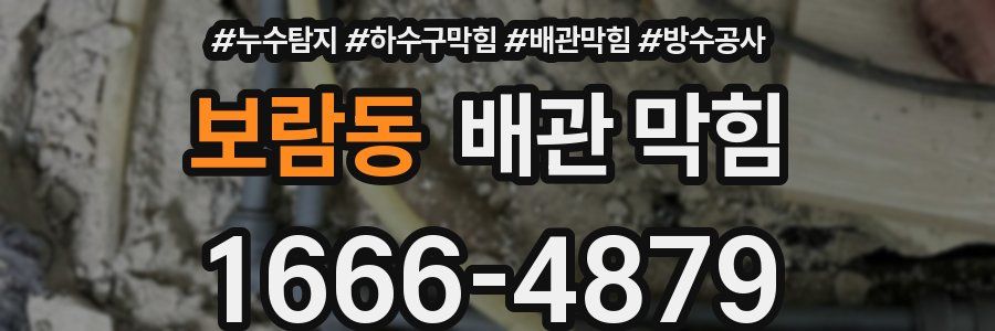 보람동 배관 막힘