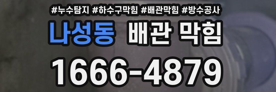 나성동 배관 막힘