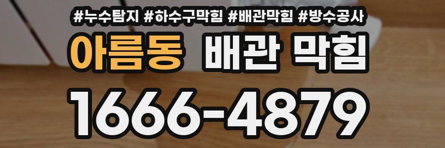 아름동 배관 막힘