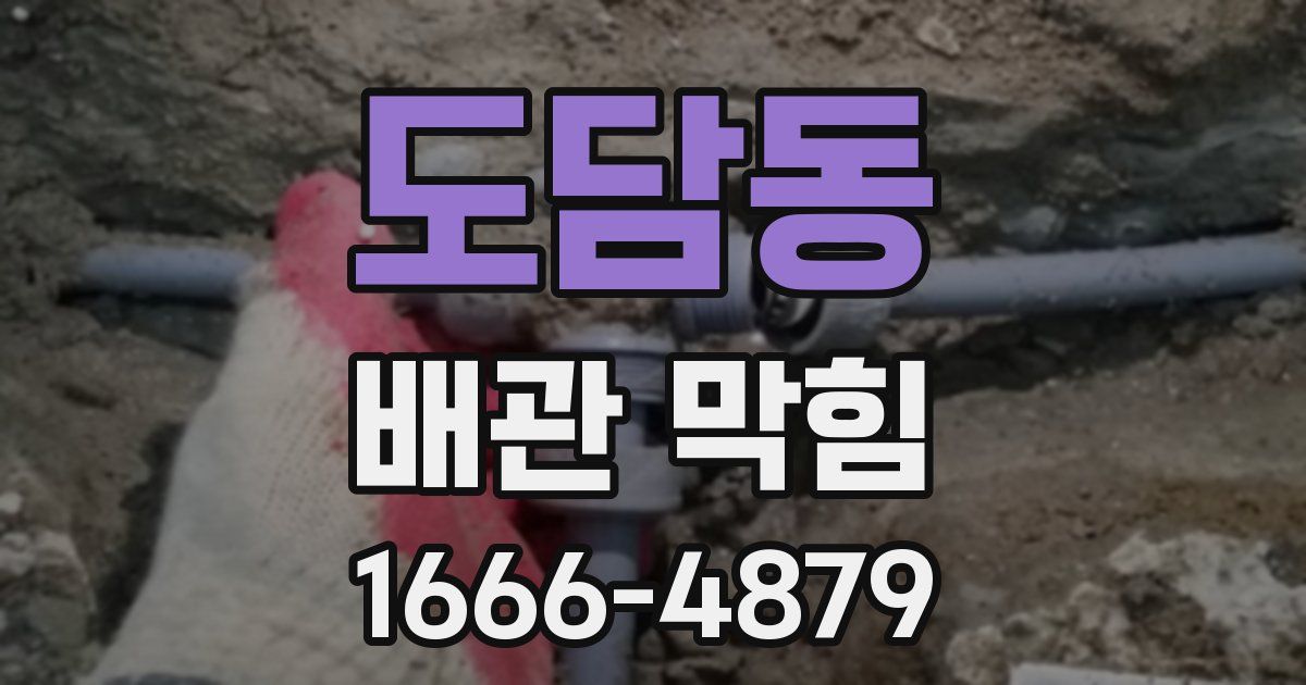 도담동 배관 막힘