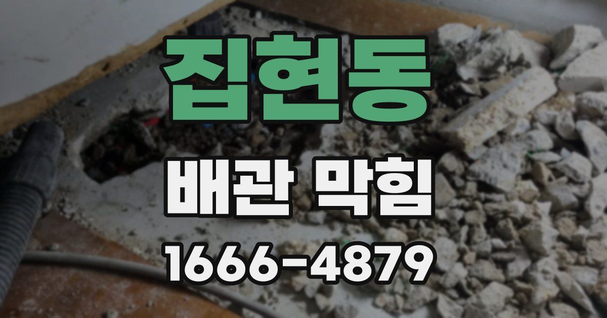 집현동 배관 막힘