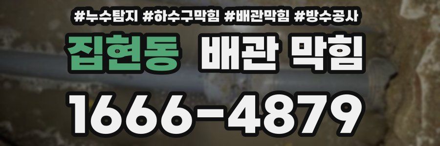 집현동 배관 막힘