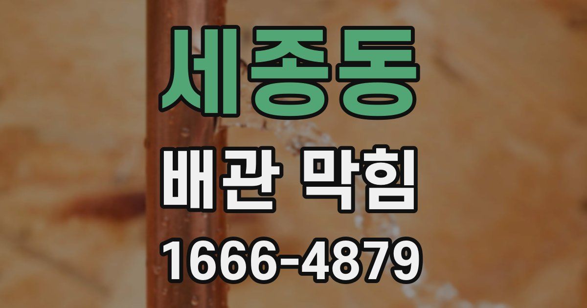 세종동 배관 막힘
