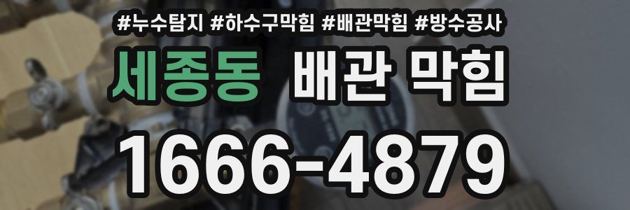 세종동 배관 막힘