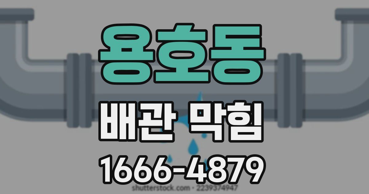 용호동 배관 막힘