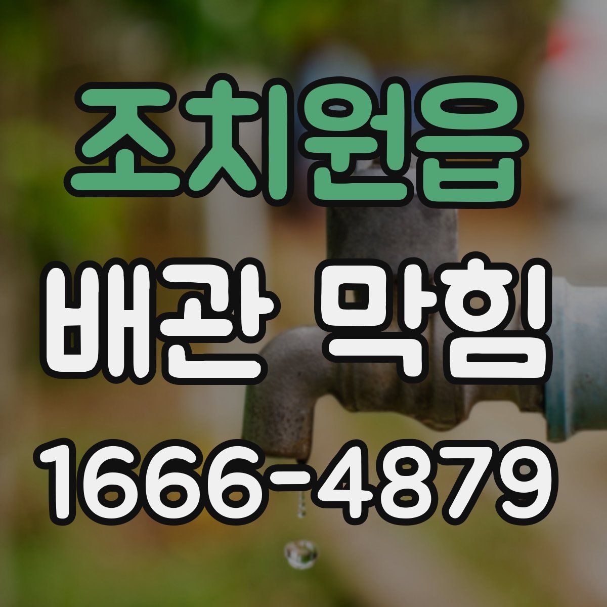 조치원읍 배관 막힘