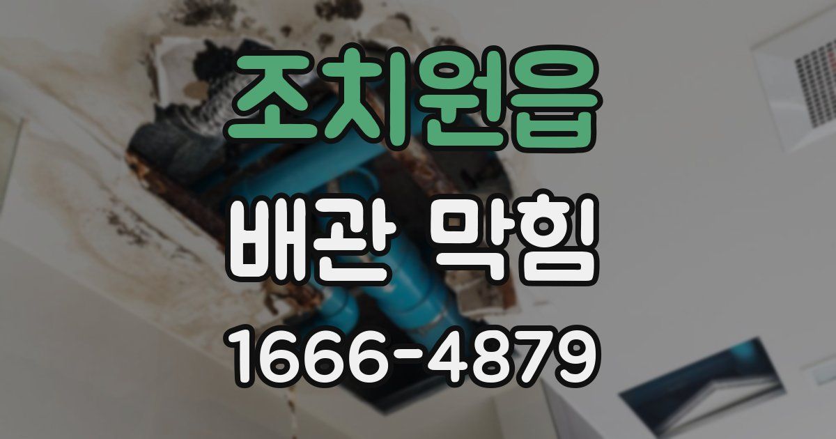 조치원읍 배관 막힘