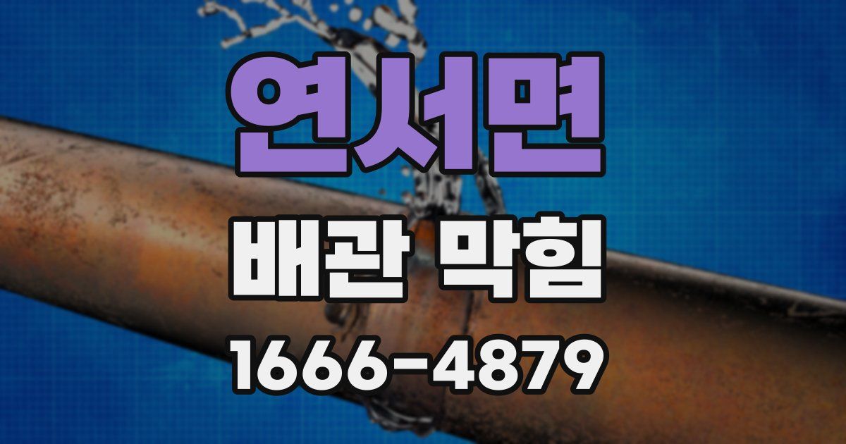 연서면 배관 막힘