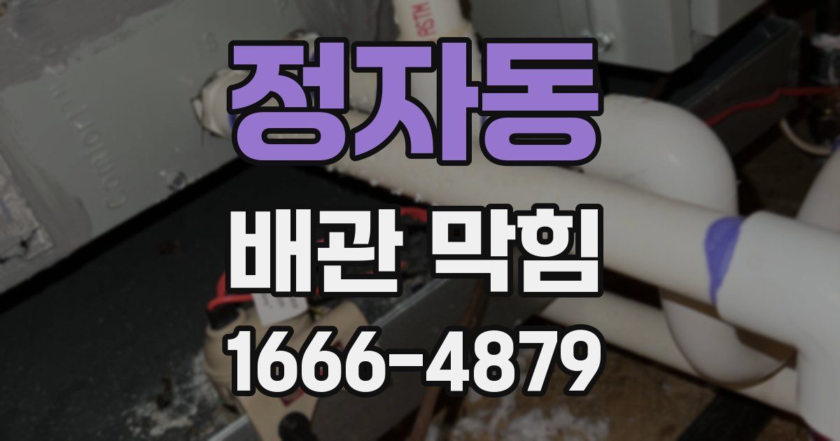 정자동 배관 막힘