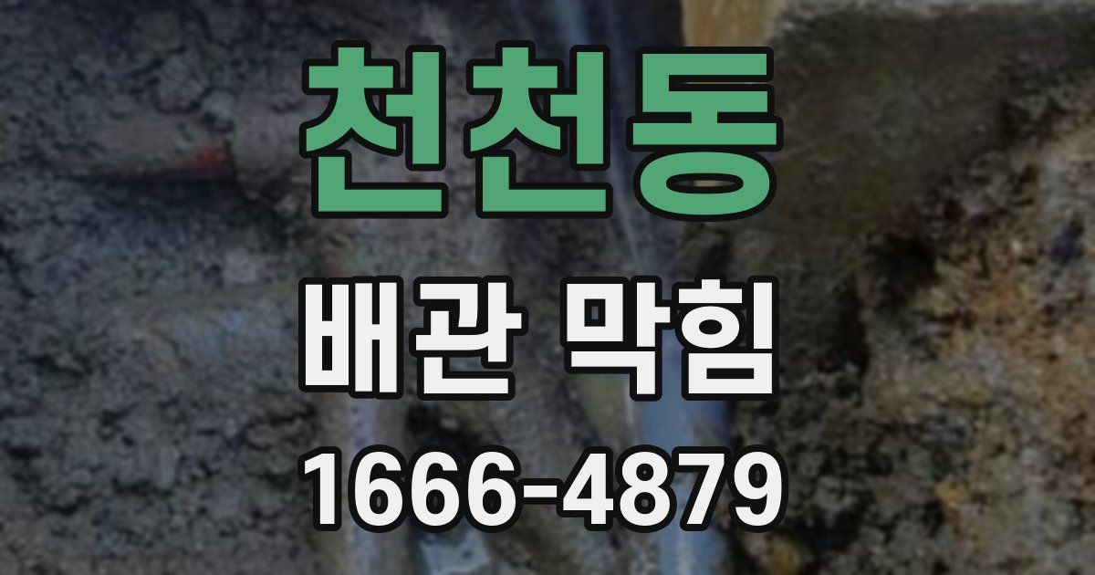 천천동 배관 막힘