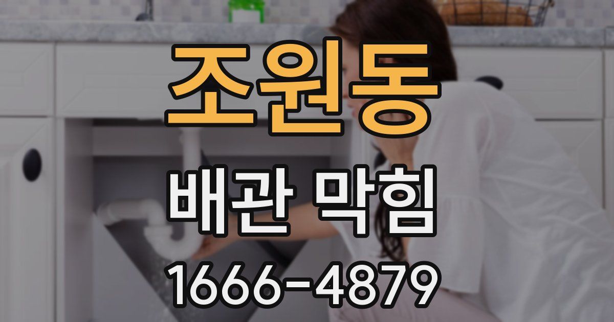 조원동 배관 막힘
