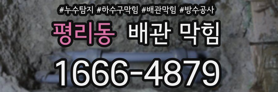 평리동 배관 막힘