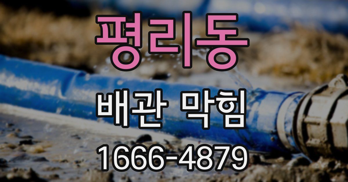 평리동 배관 막힘