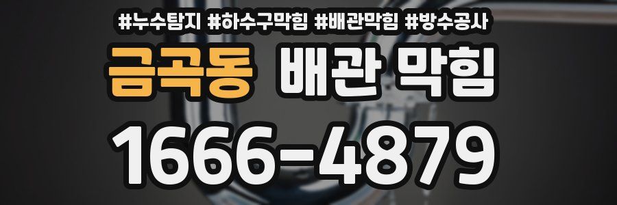 금곡동 배관 막힘