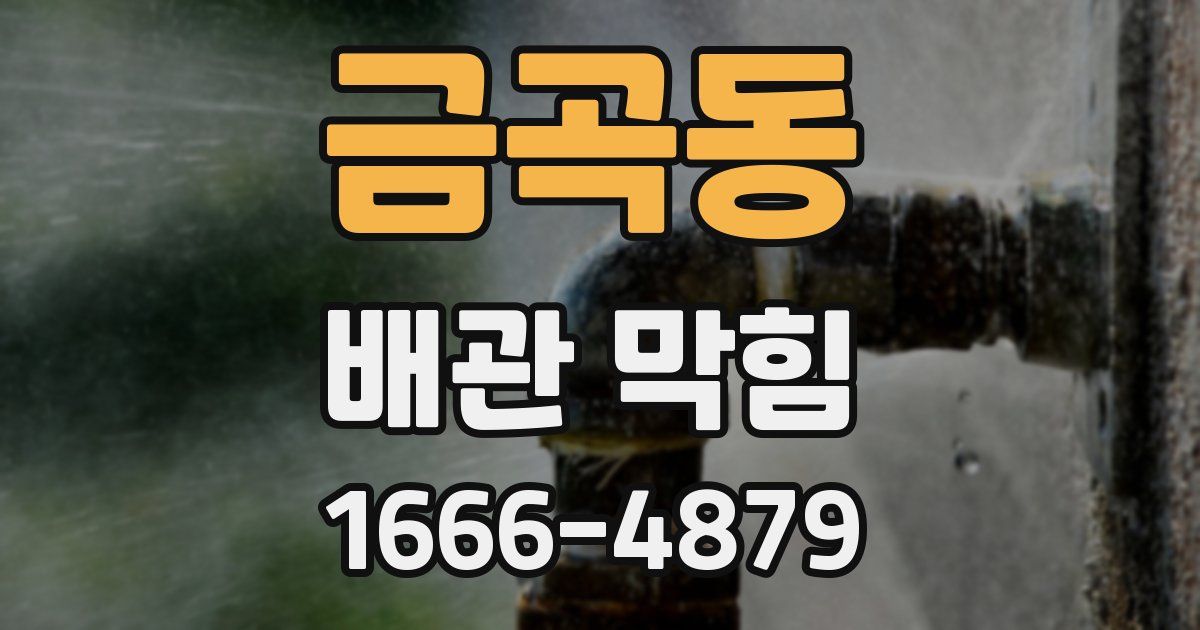 금곡동 배관 막힘