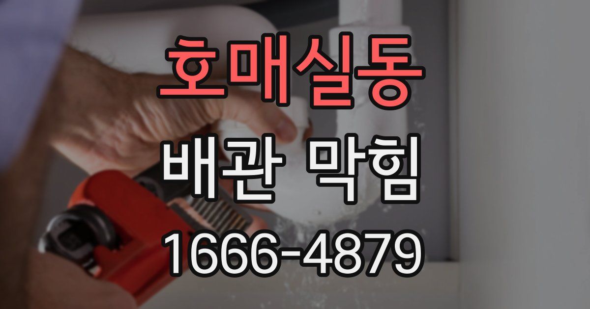 호매실동 배관 막힘