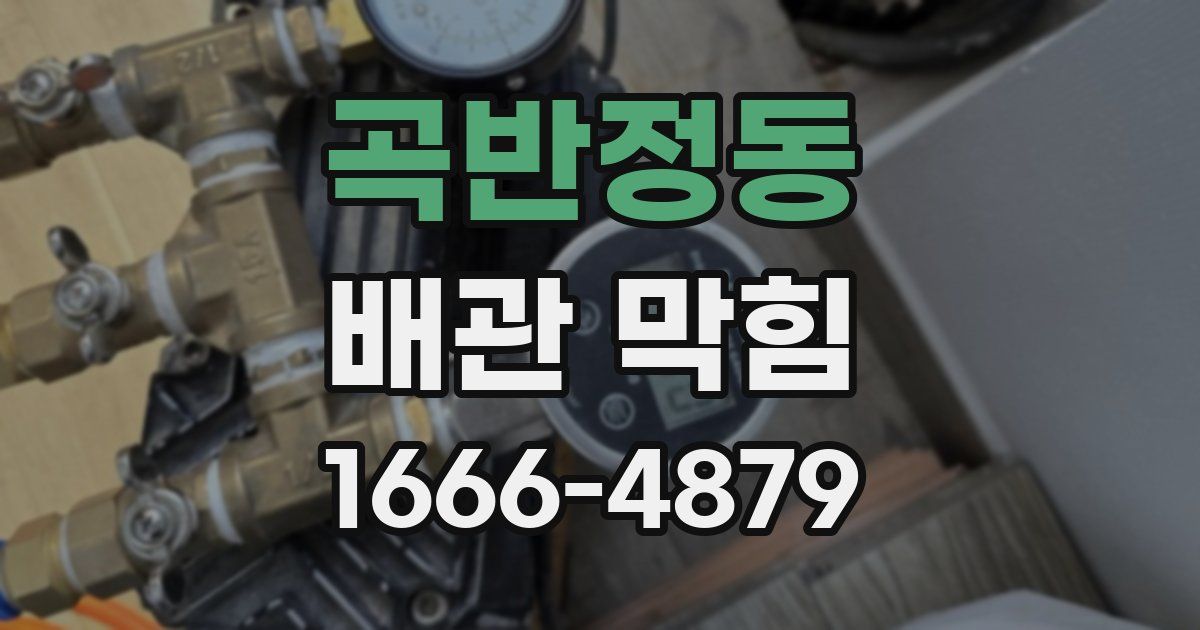곡반정동 배관 막힘