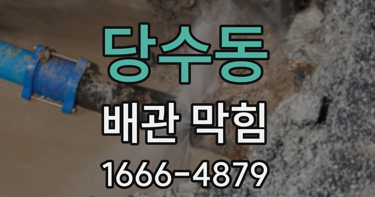 당수동 배관 막힘