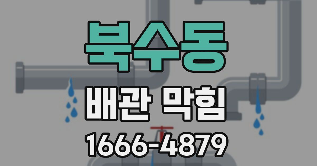 북수동 배관 막힘