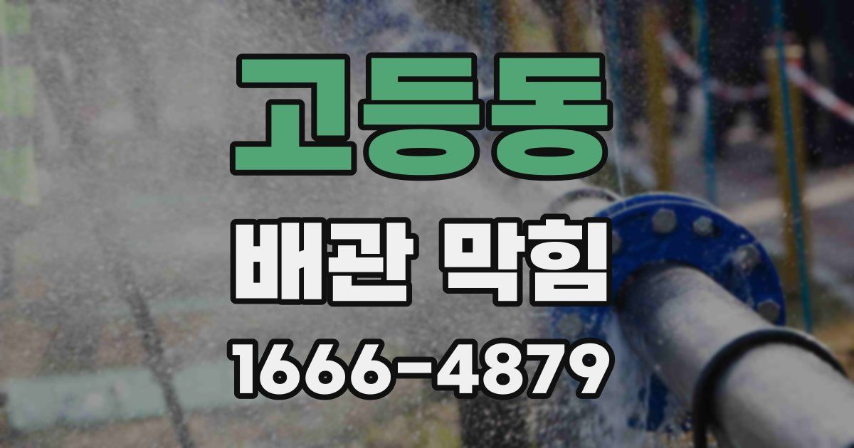고등동 배관 막힘