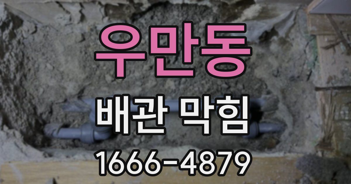 우만동 배관 막힘