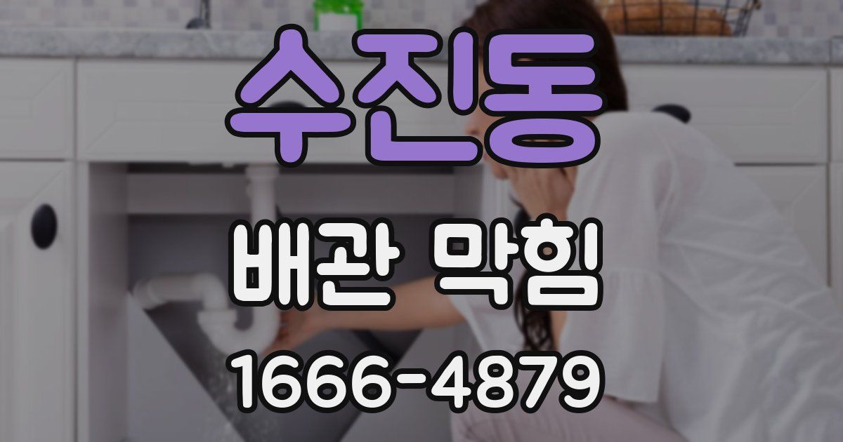 수진동 배관 막힘