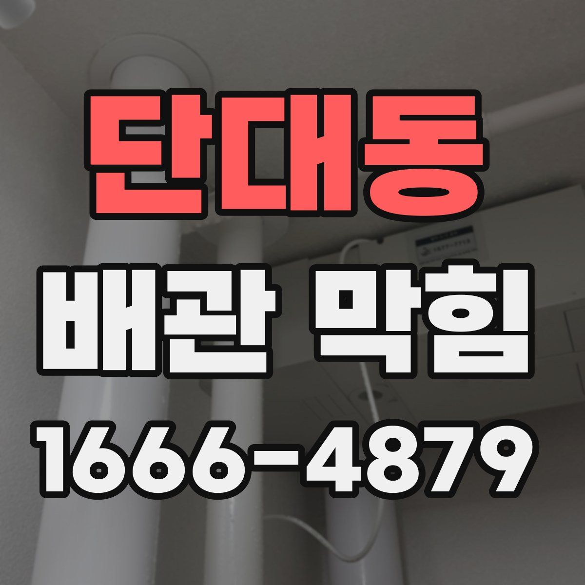 단대동 배관 막힘