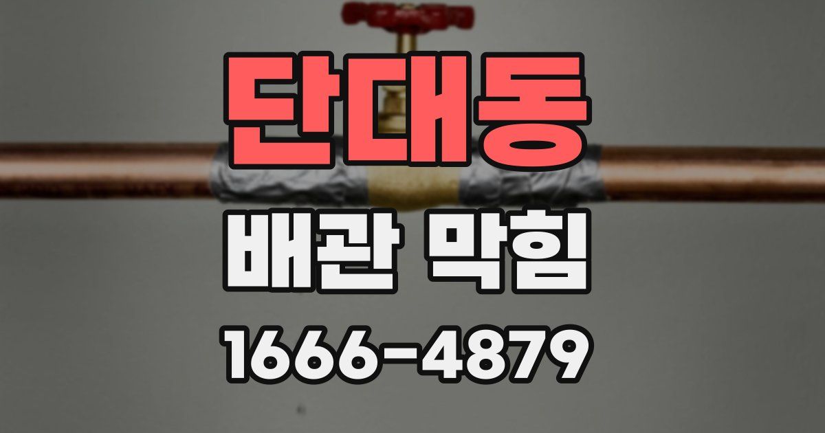 단대동 배관 막힘