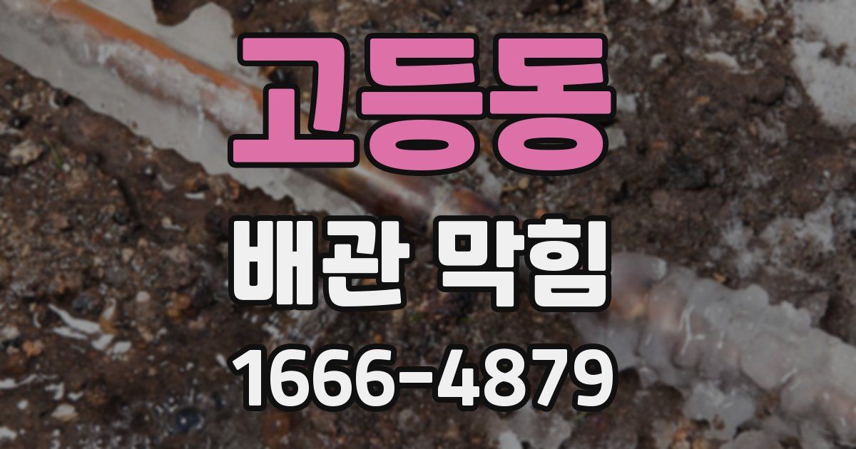 고등동 배관 막힘