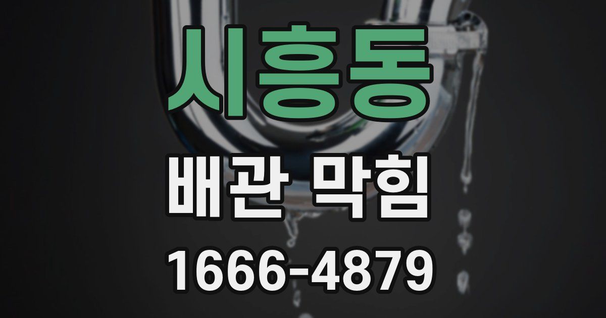 시흥동 배관 막힘