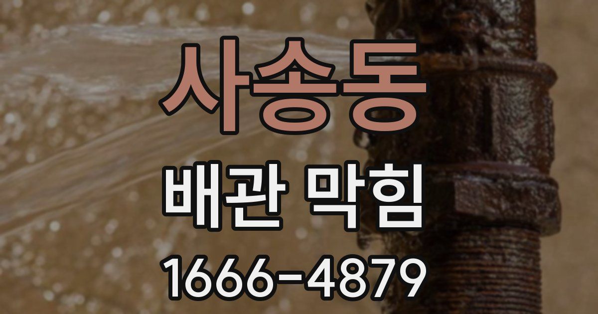 사송동 배관 막힘