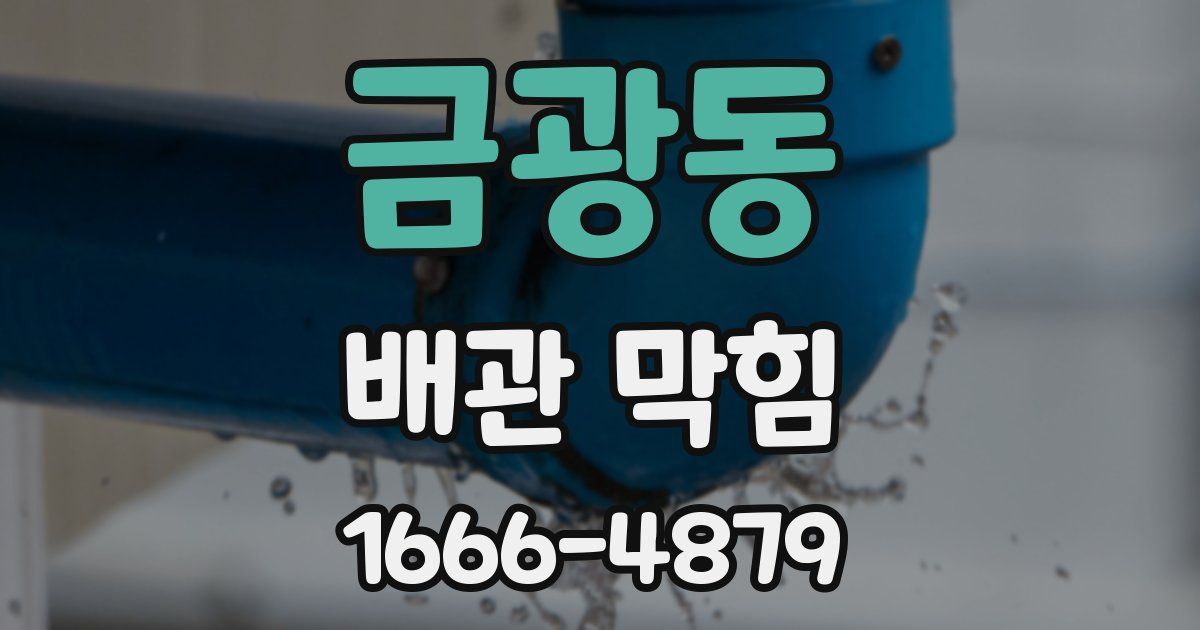 금광동 배관 막힘