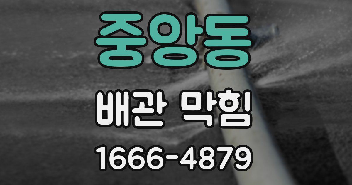 중앙동 배관 막힘