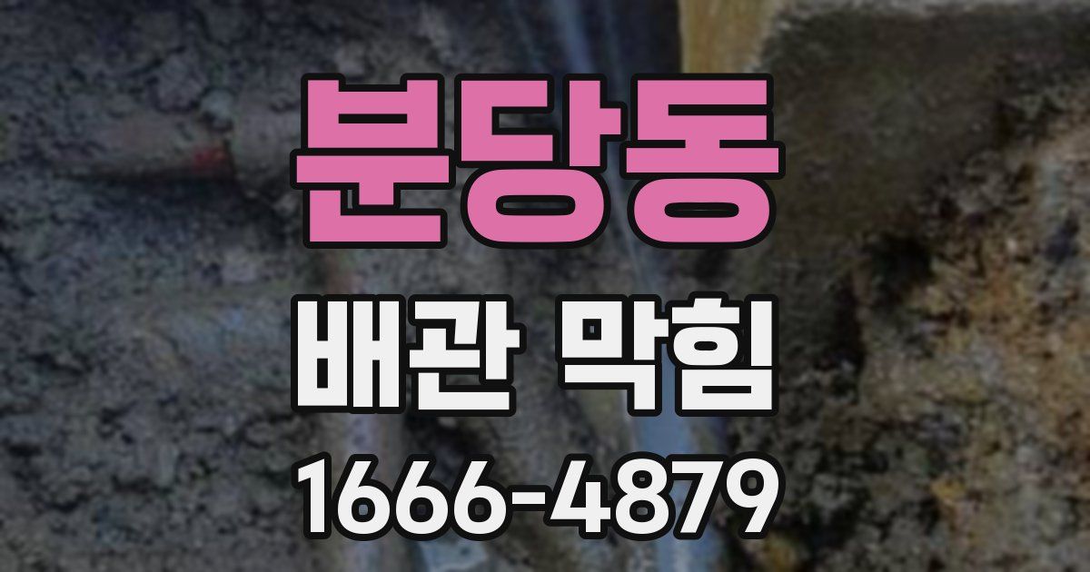 분당동 배관 막힘