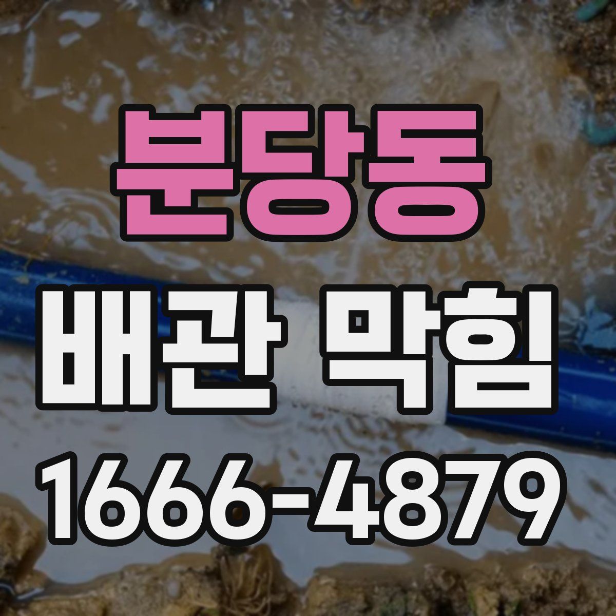 분당동 배관 막힘