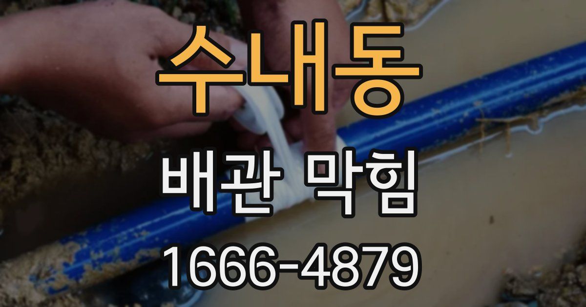 수내동 배관 막힘
