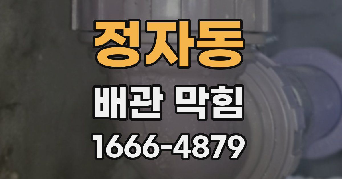 정자동 배관 막힘