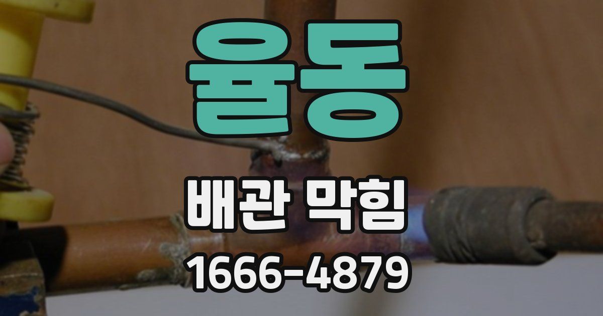 율동 배관 막힘