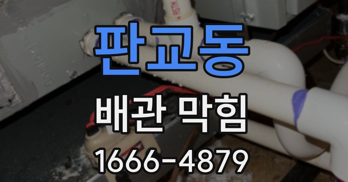 판교동 배관 막힘