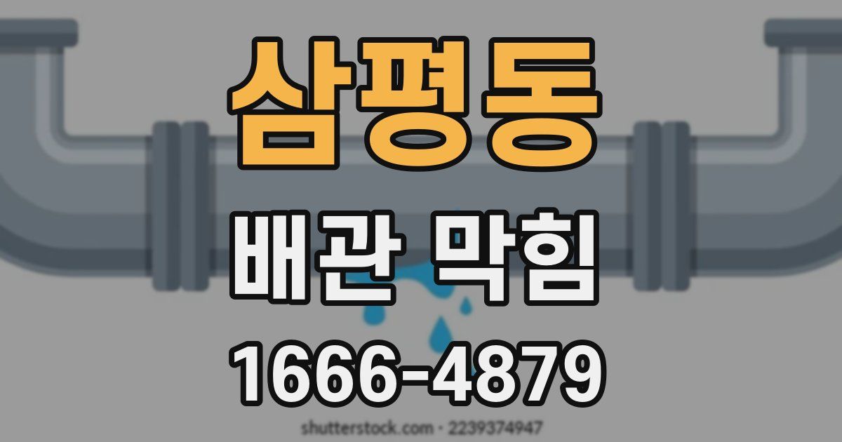 삼평동 배관 막힘