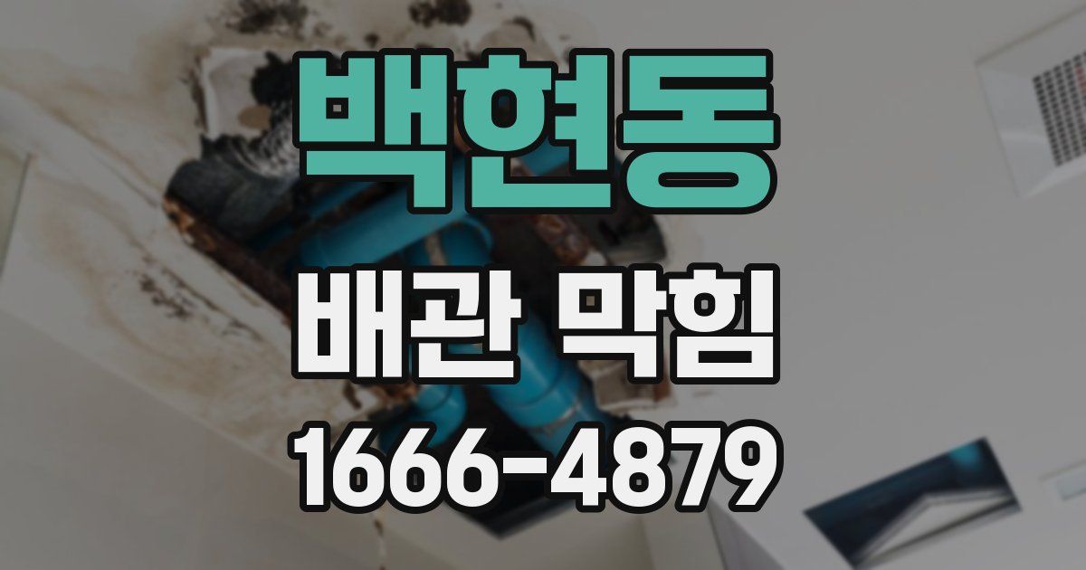 백현동 배관 막힘