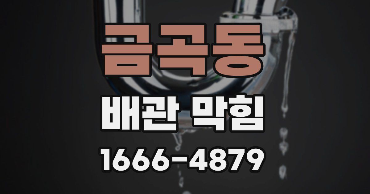 금곡동 배관 막힘