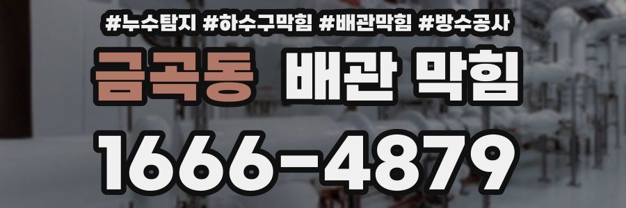 금곡동 배관 막힘