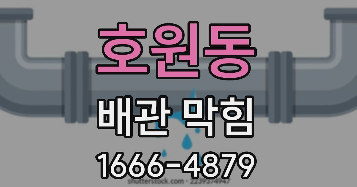 호원동 배관 막힘