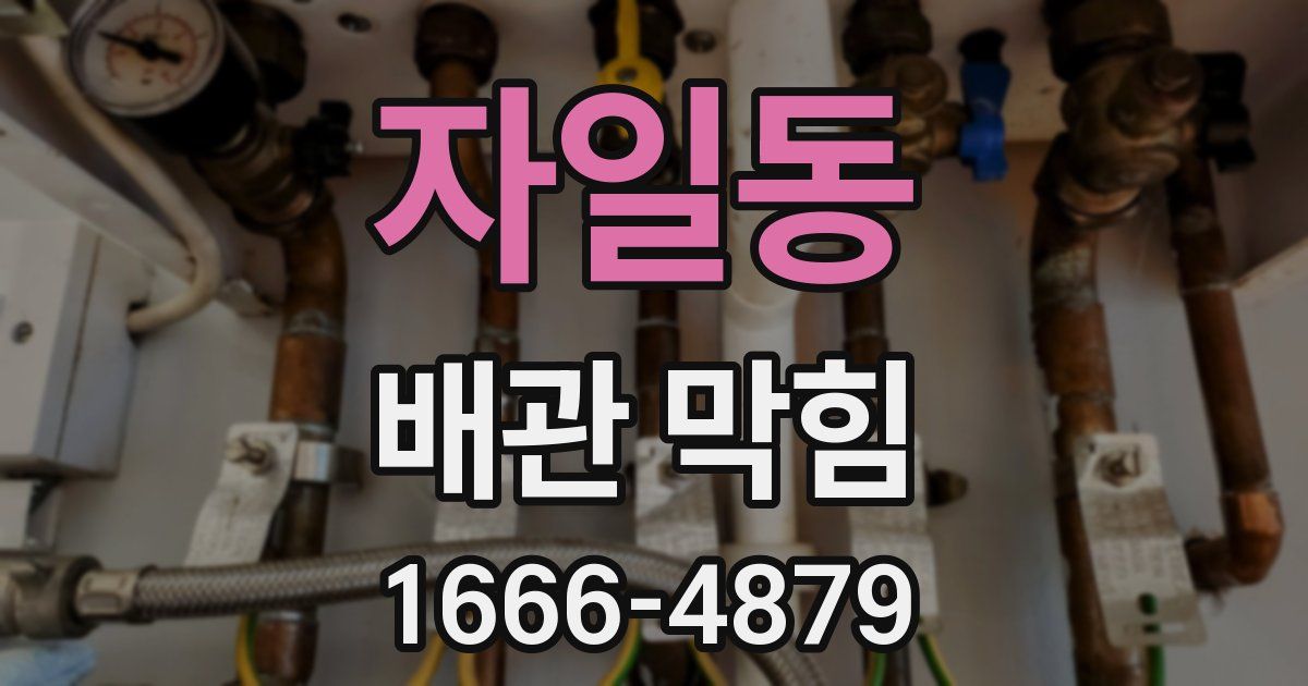 자일동 배관 막힘