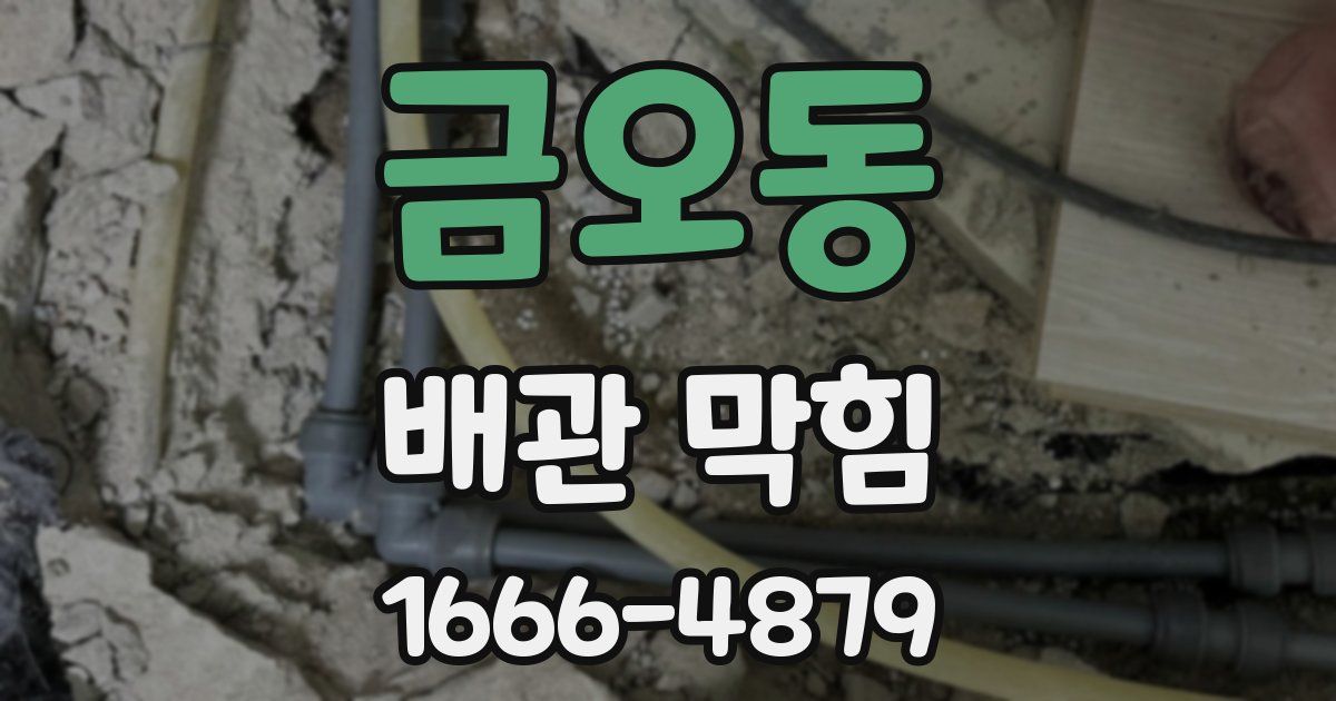금오동 배관 막힘