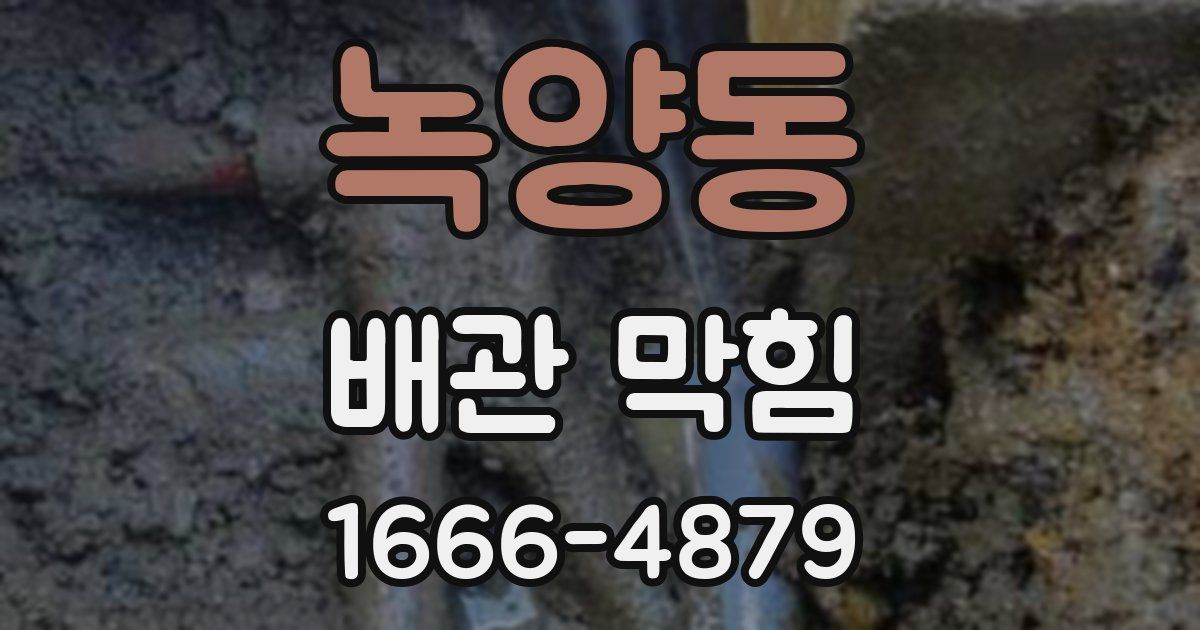 녹양동 배관 막힘