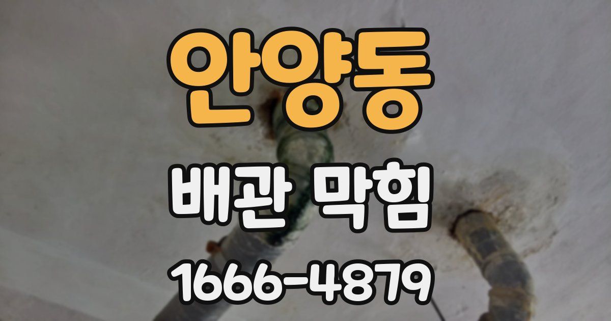 안양동 배관 막힘